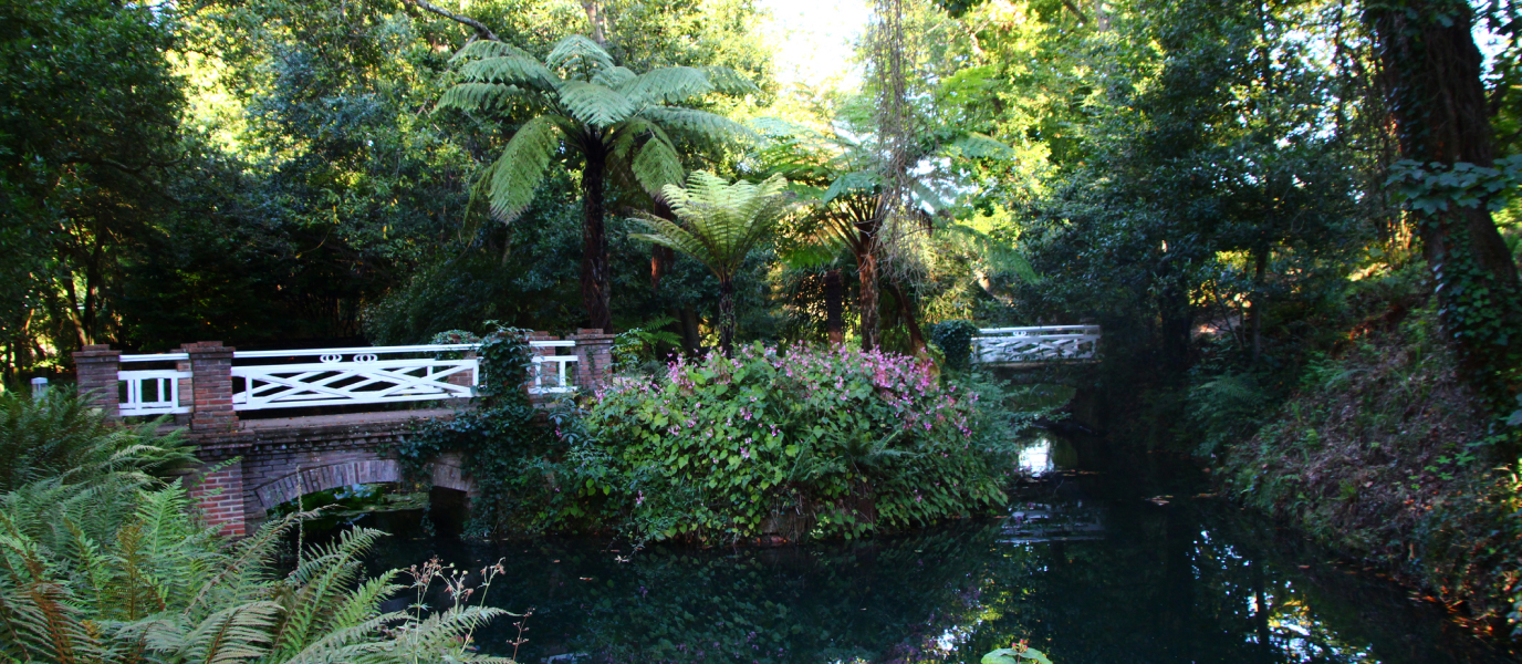 Jardín Botánico de Gijón, un espectacular rincón verde