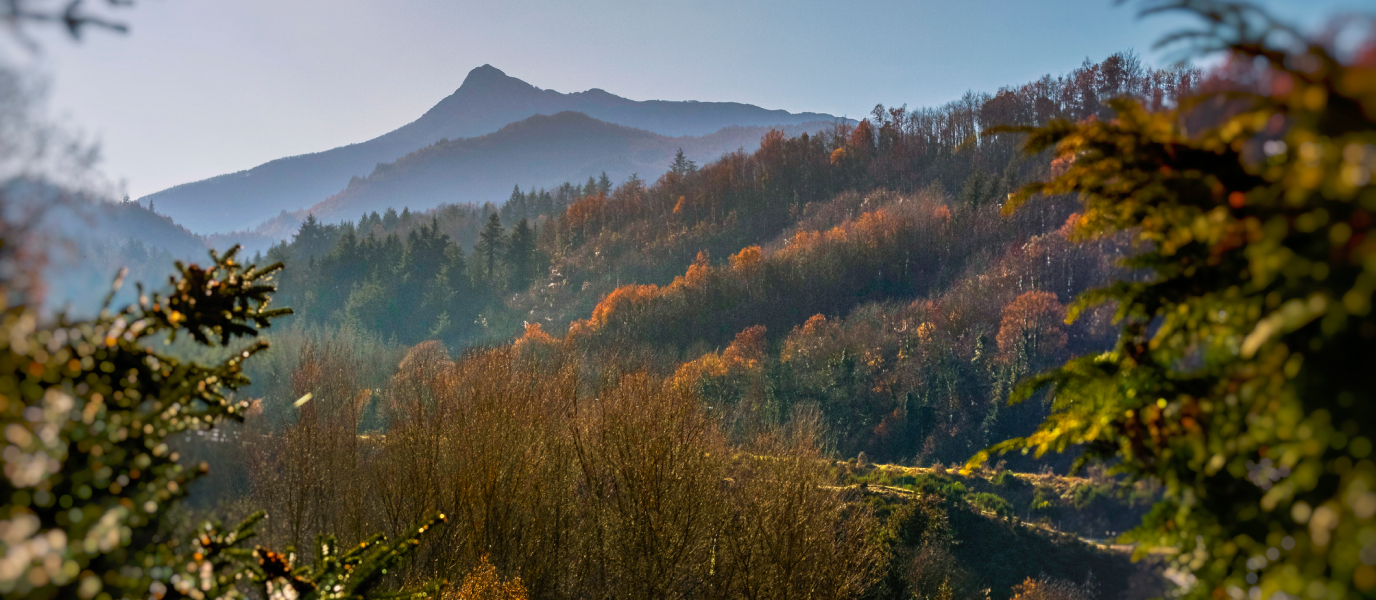 Montseny, a natural oasis near Barcelona