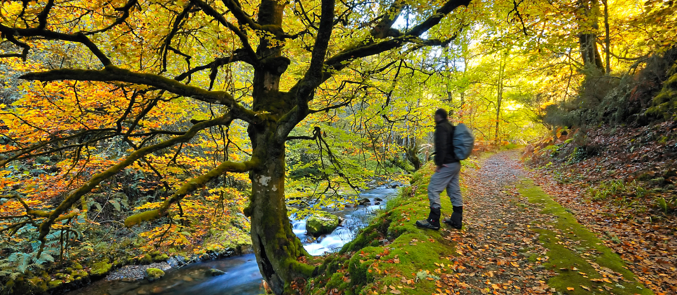 Redes Natural Park: an unexplored corner of Asturias