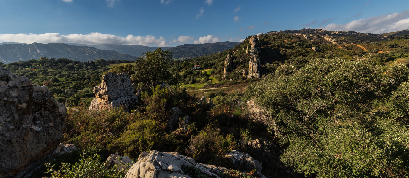 Los Alcornocales Natural Park, from the mountains to the coast