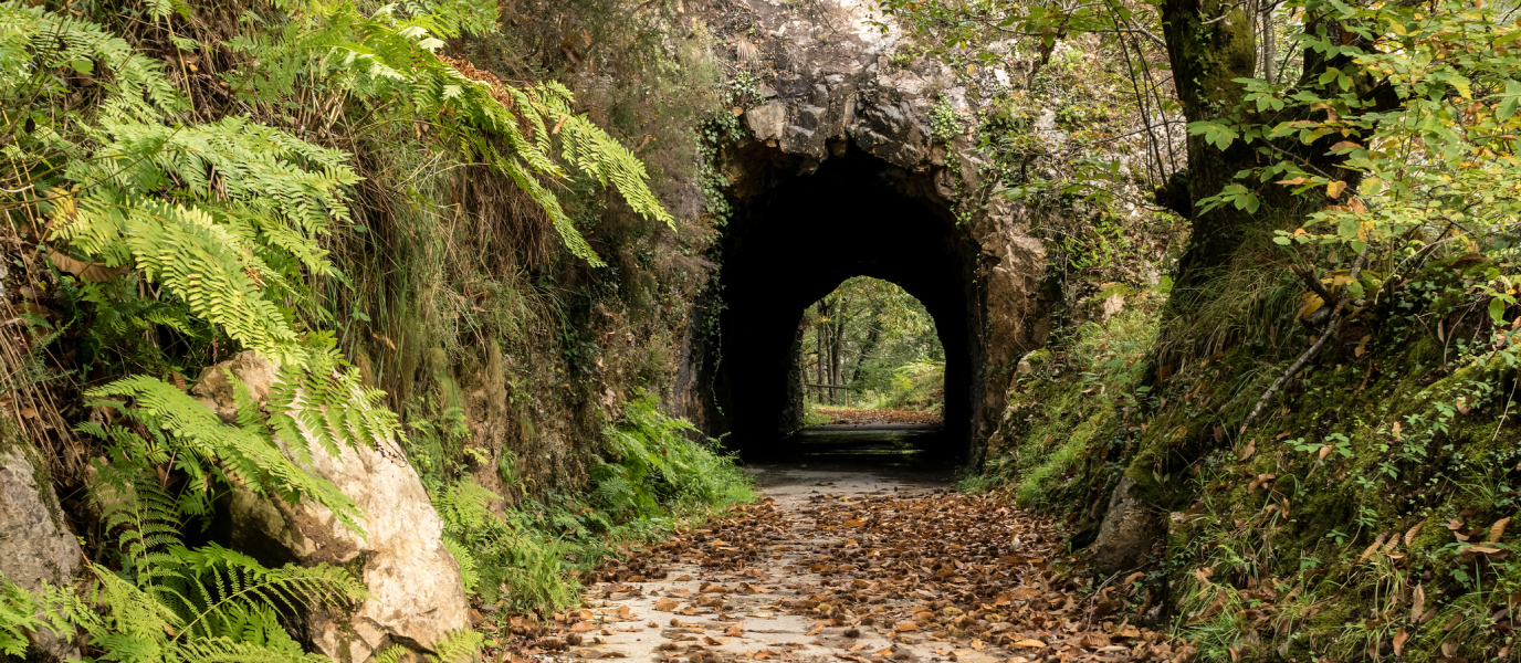 Senda del Oso: Discover the raw natural beauty of Asturias