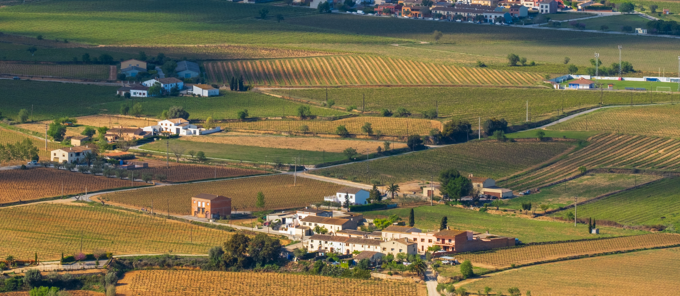 Vilafranca del Penedès, ciudad histórica y capital del vino y el cava