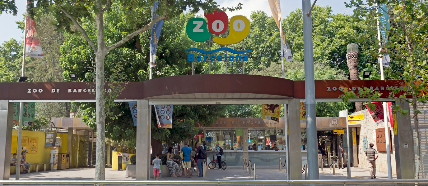 Zoo de Barcelona, un oasis de vida animal en pleno centro